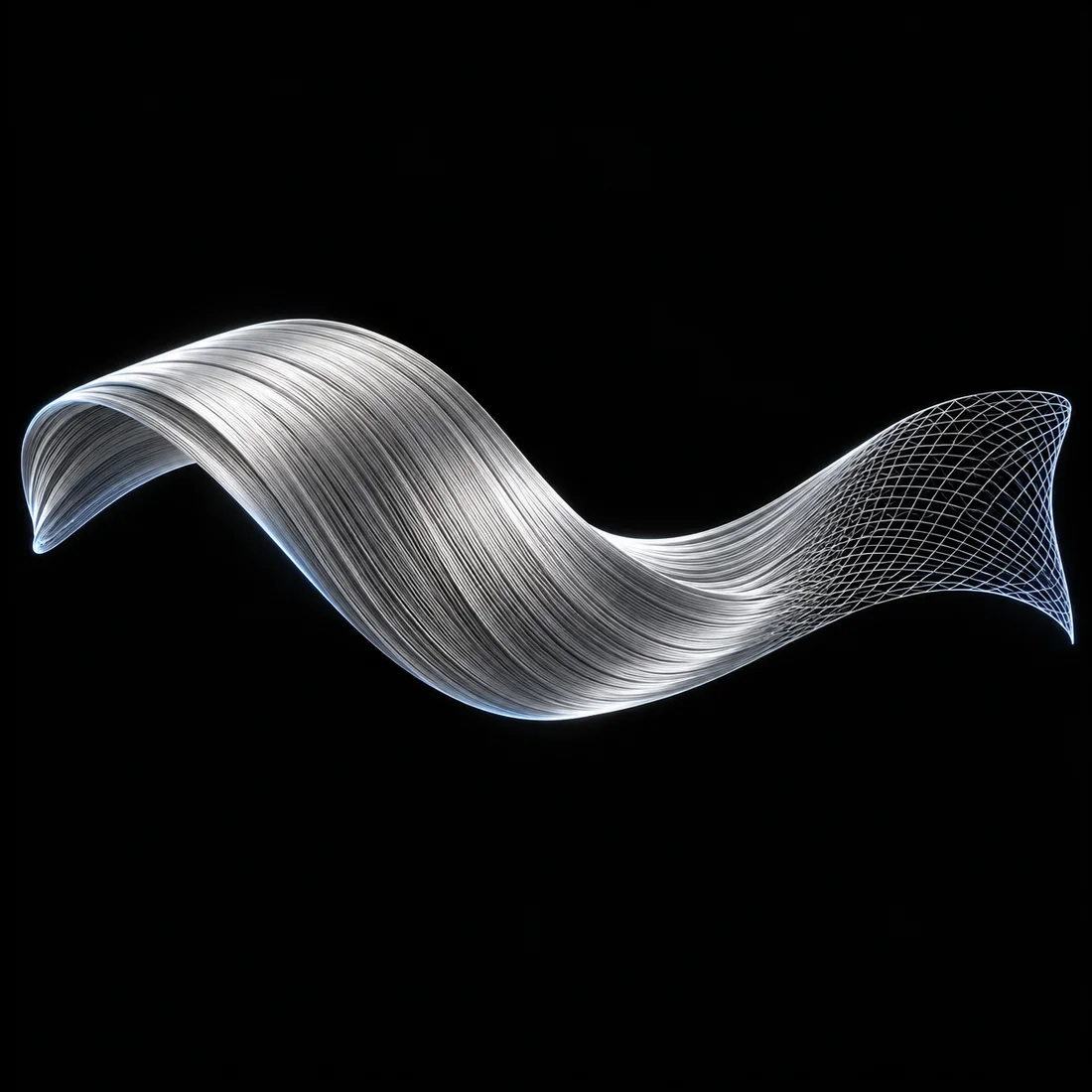 Movimiento, filamentos digitales